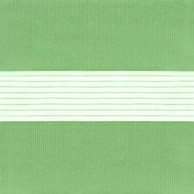 зебра СТАНДАРТ 5853 салатовый, 280 см