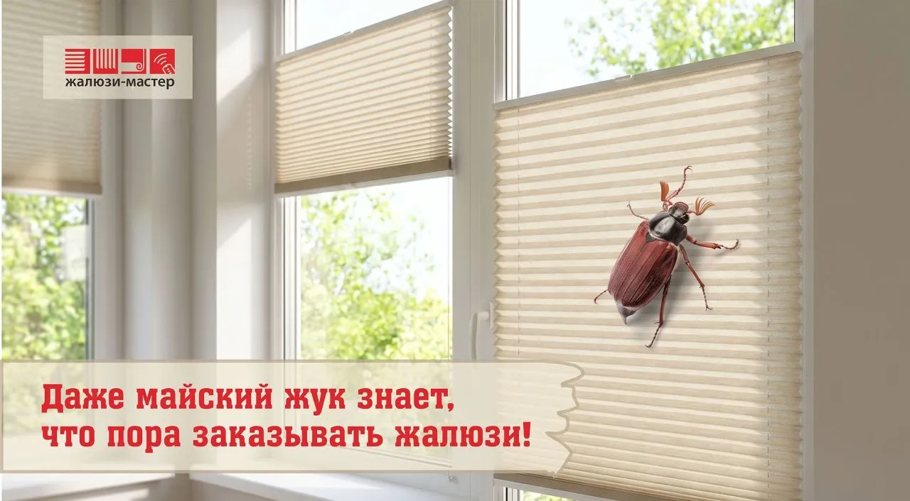 Даже майский жук знает, что пора заказывать жалюзи!