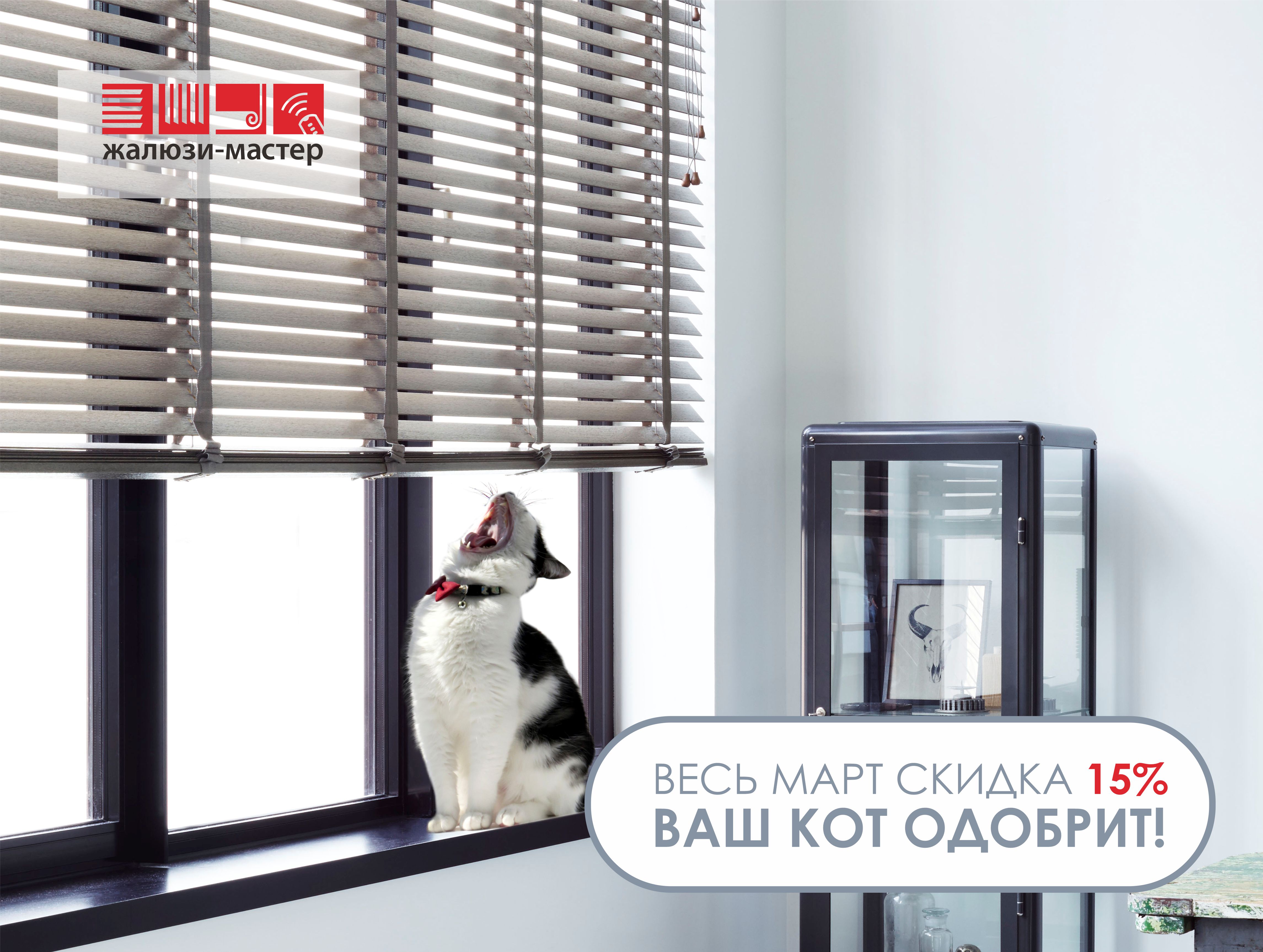 cat_spring1.jpg cat_spring1.jpg